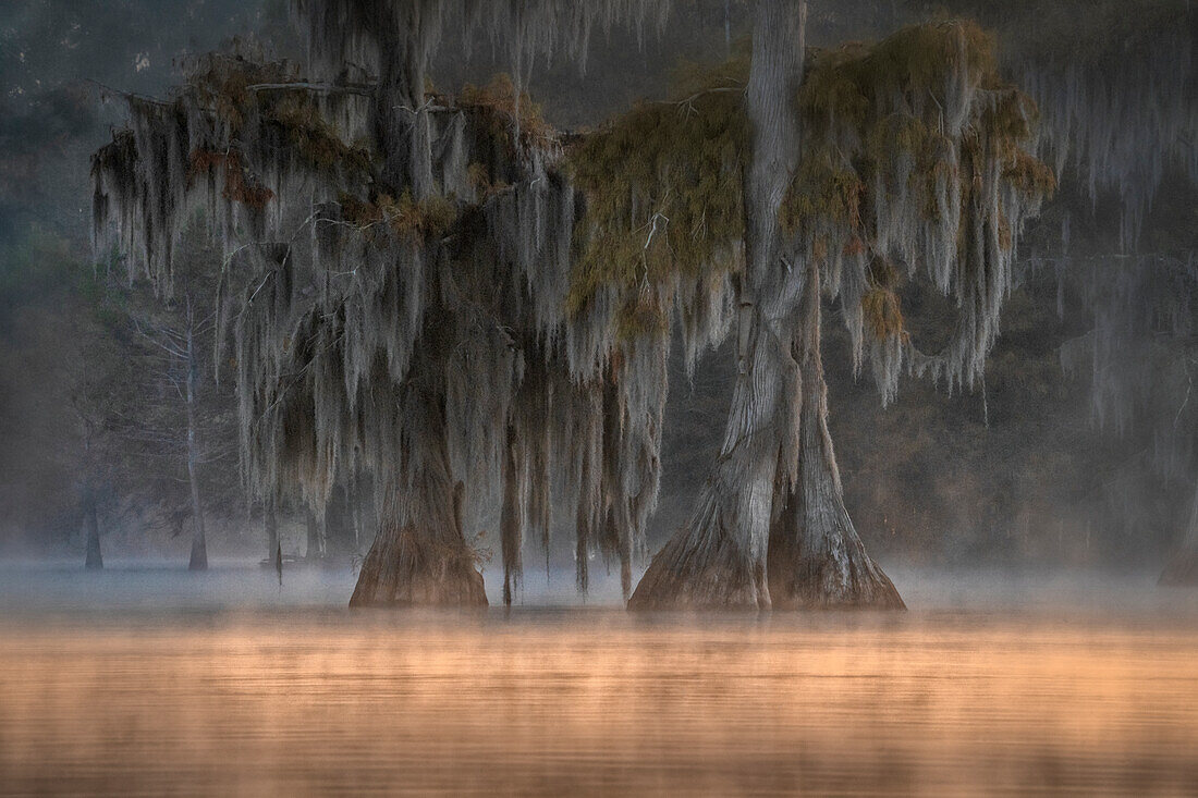 Atchafalaya-Becken im Herbst, Louisiana