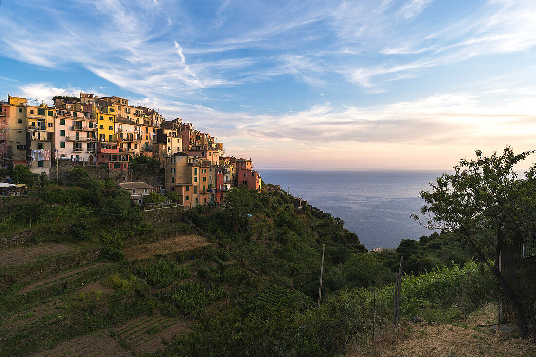 Corniglia, Cinque terre, La Spezia province, Liguria, Italy, Europe