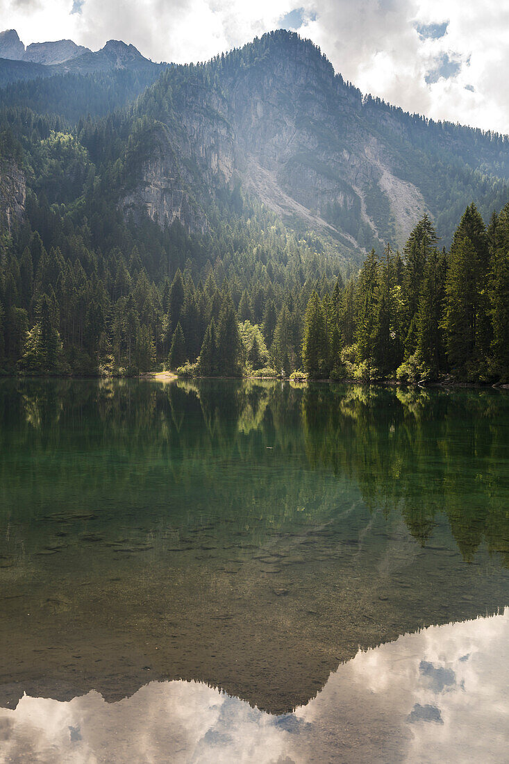 Lake tovel, Brenta Group, Ville d'Anaunia, Non valley, Trentino, Trento Province, Trentino-Alto Adige, Italy, Europe