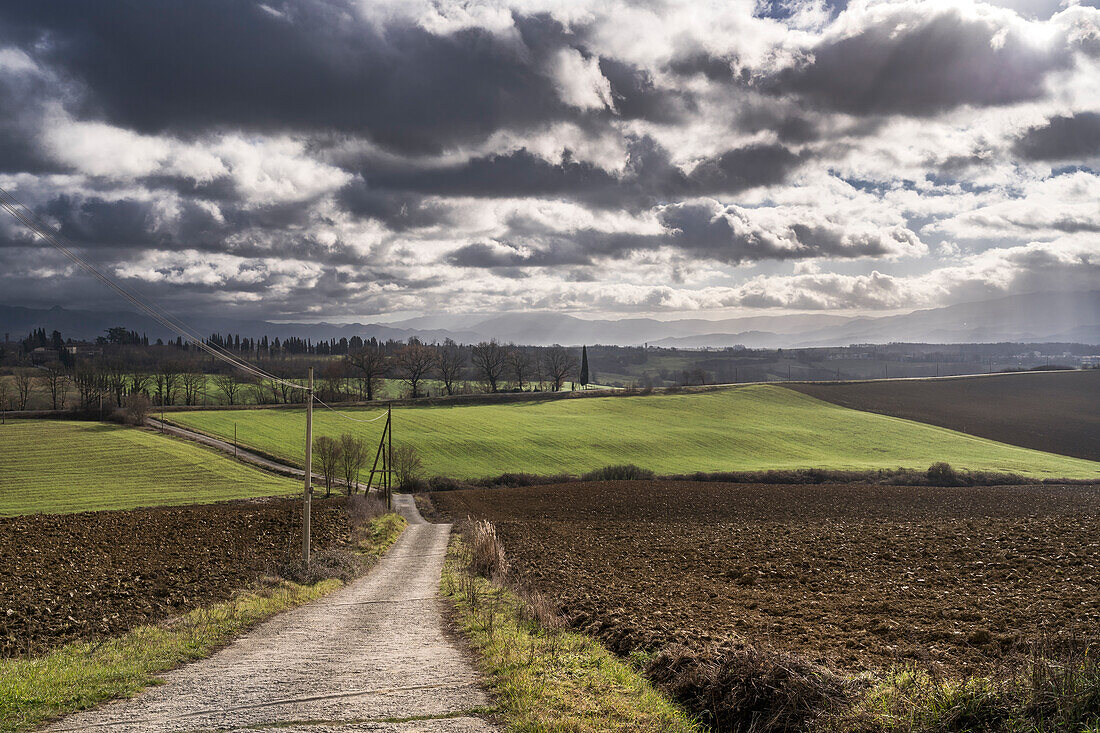 A path in the Tuscan countryside. Galliano, Barberino del Mugello municipality, Metropolitan city of Florence ,Tuscany, Italy, Europe.