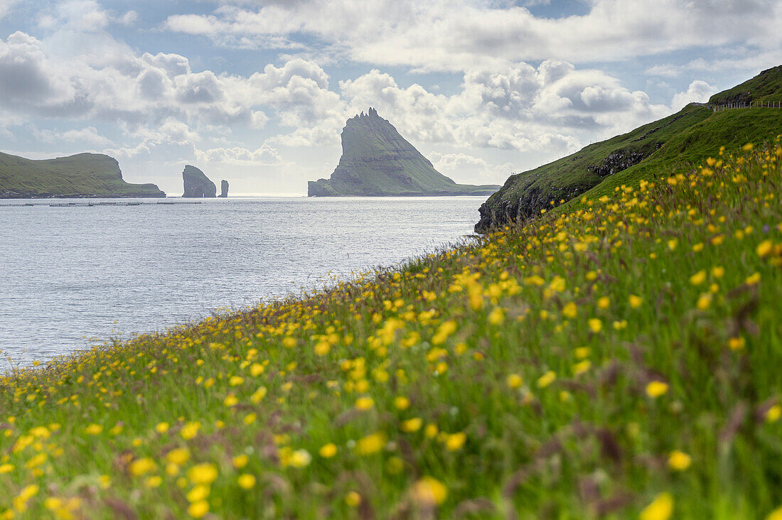 Europe, Denmark, Faroe Islands, Vagar, Bour: Drangarnir, Tindholmur over the Sorvagsfjordur