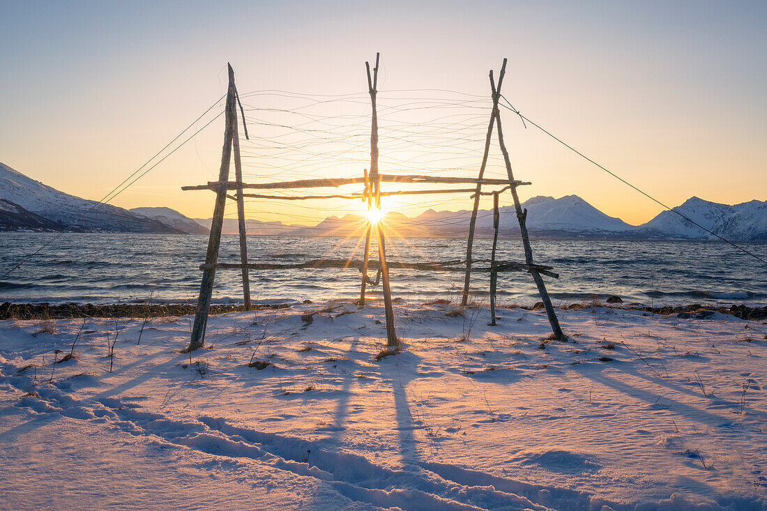Europa, Norwegen, Troms: eine kleine Anlage zum Trocknen von Kabeljau an der arktischen Küste