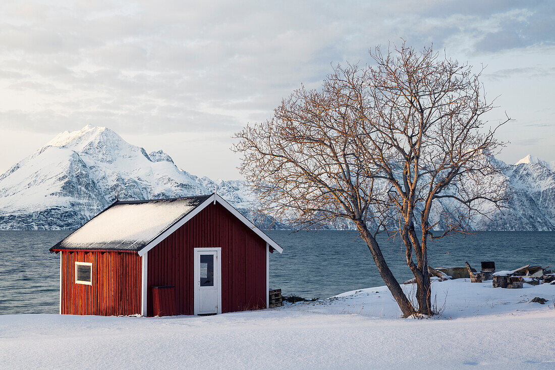 Europa, Norwegen, Troms: eine klassische norwegische Rorbu