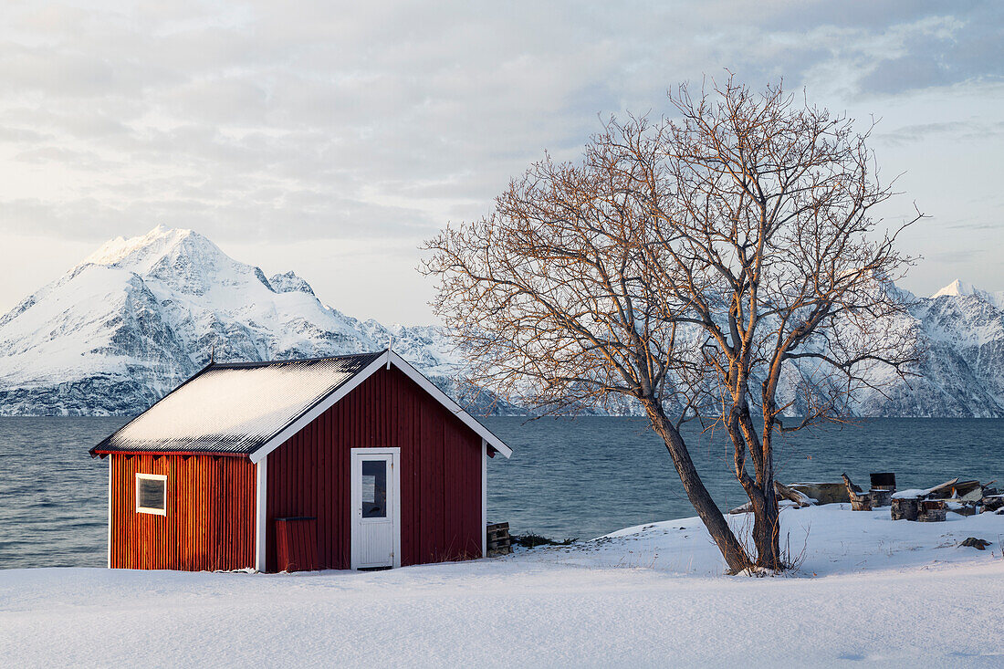 Europe, Norway, Troms: a classical norwegian rorbu