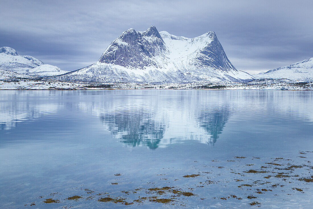 Europe, Norway: view on the road in the Nordland region