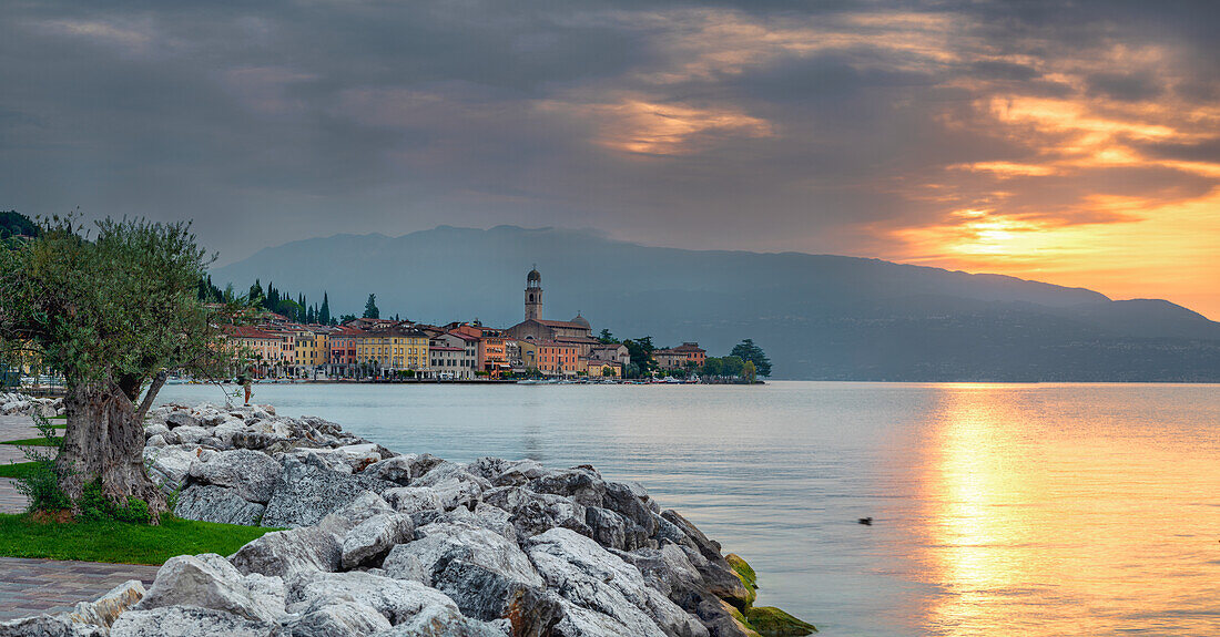 Gardasee, typische Olivenbäume und der Golf von Salò, Salò del Benaco, Provinz Brescia, Lombardei, Italien, Südeuropa