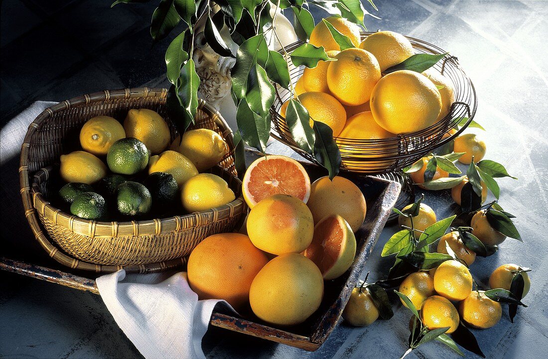 Still Life of Several Assorted Citrus Fruit