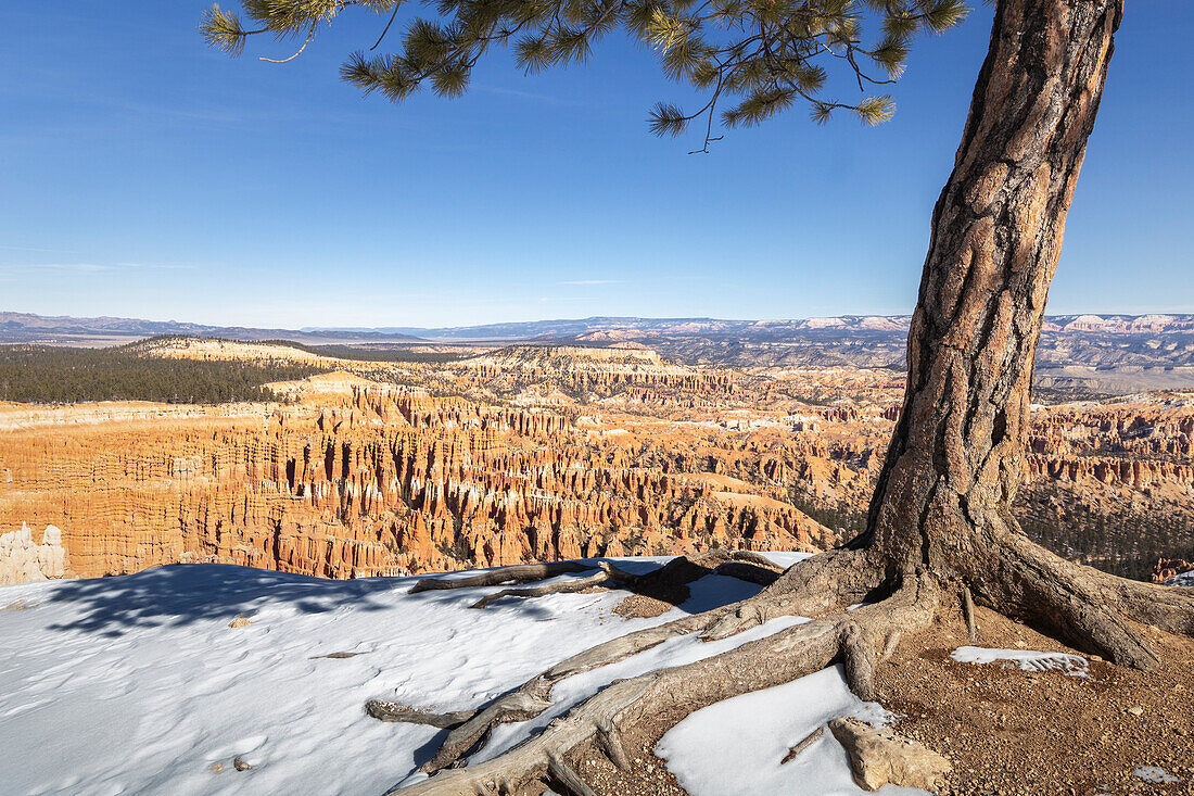 USA, Utah, Bryce Canyon National Park: panorama from the top of the rim