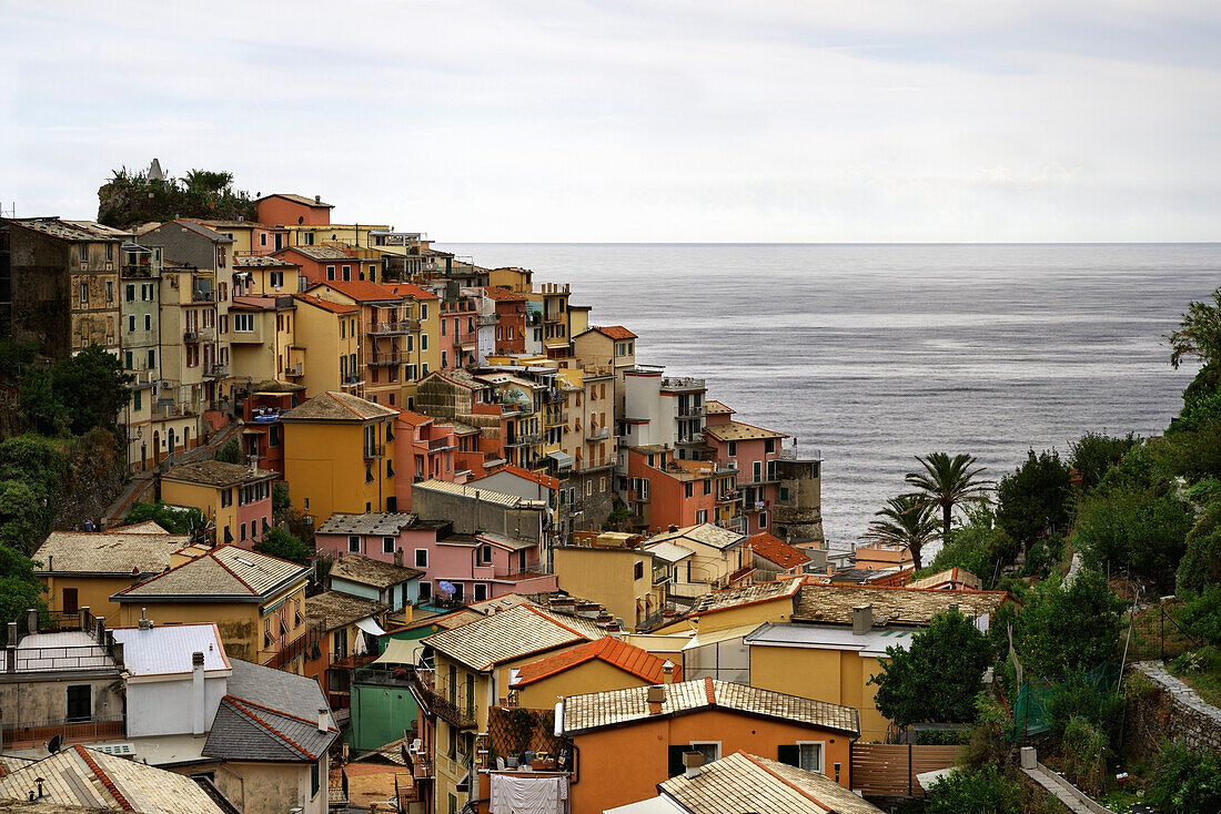 Panorama von Manarola vom Kirchplatz von San Lorenzo bei Tag, Manarola, La Spezia, Cinque Terre, Italien, Europa, Südeuropa