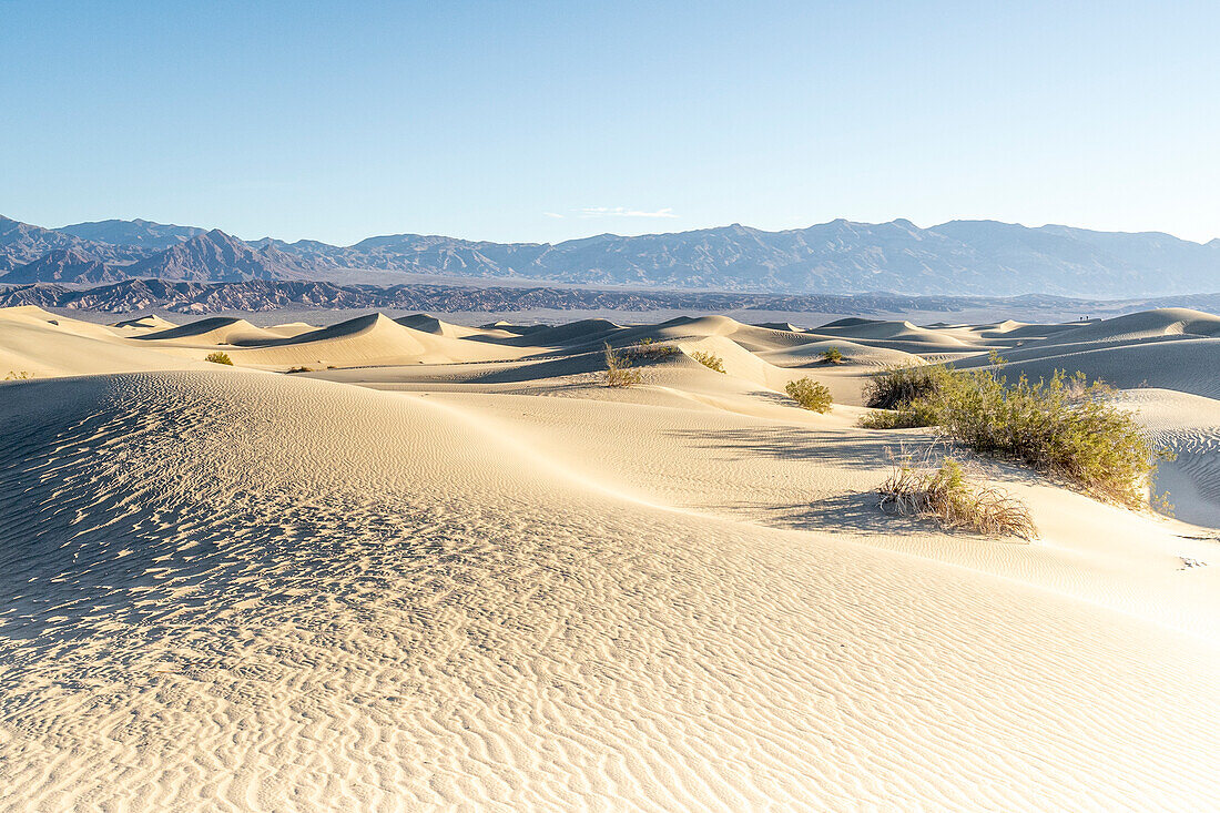 USA, Kalifornien: Erstes Licht des Tages auf den Mesquite-Dünen im Death Valley National Park