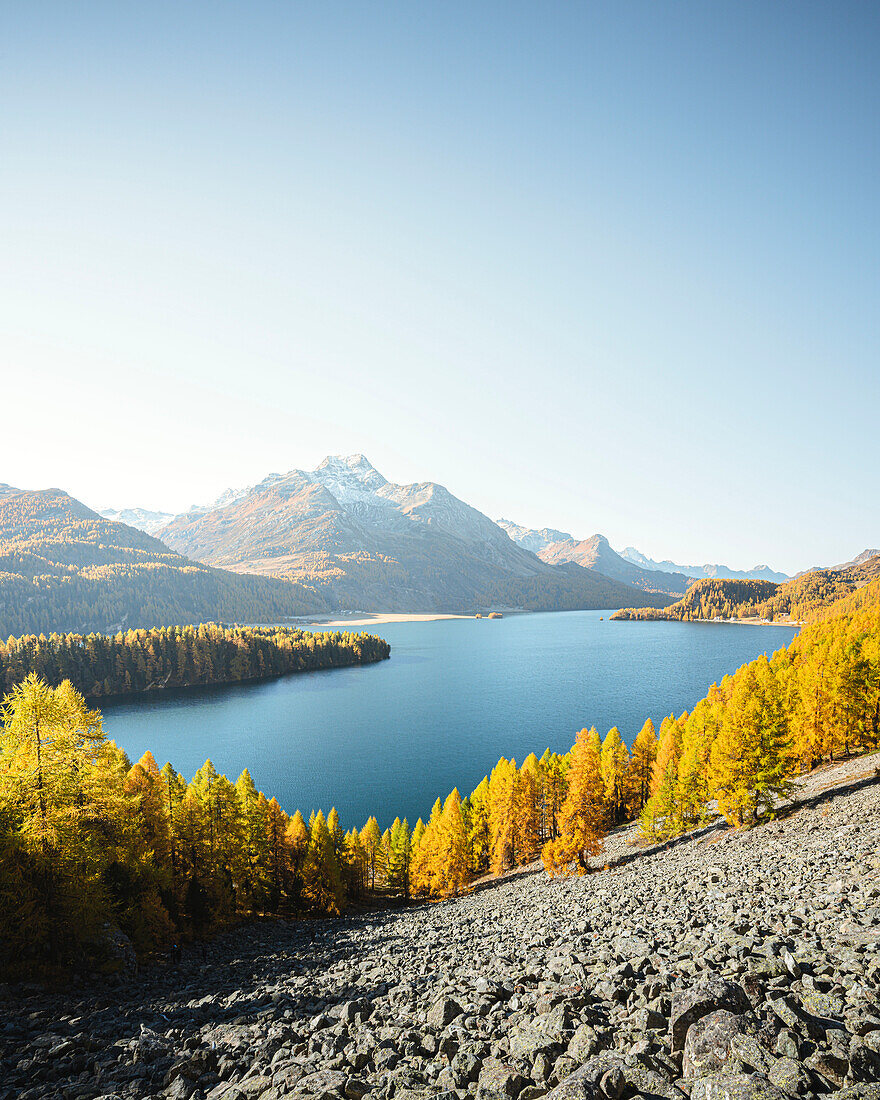 Wenn Gold Saison hat, Engadin, Kanton Graubünden, Schweiz, Europa