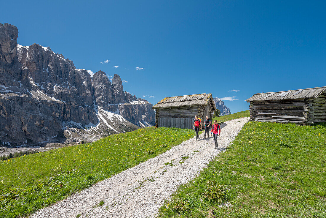 Grödnerjoch, Dolomiten, Südtirol, Italien. Wanderer auf einem Wanderweg oberhalb des Grödner Jochs