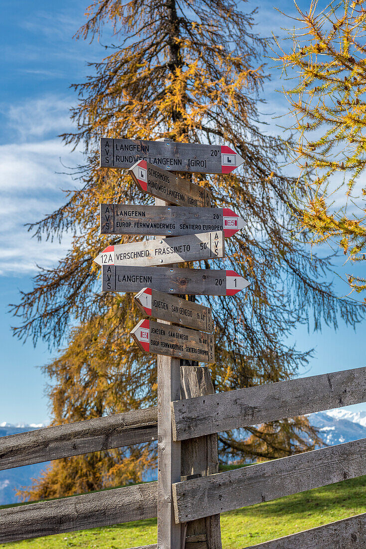 San Genesio / Jenesien, Provinz Bozen, Südtirol, Italien. Herbst auf dem Salto, dem höchsten Lärchenhochplateau Europas.