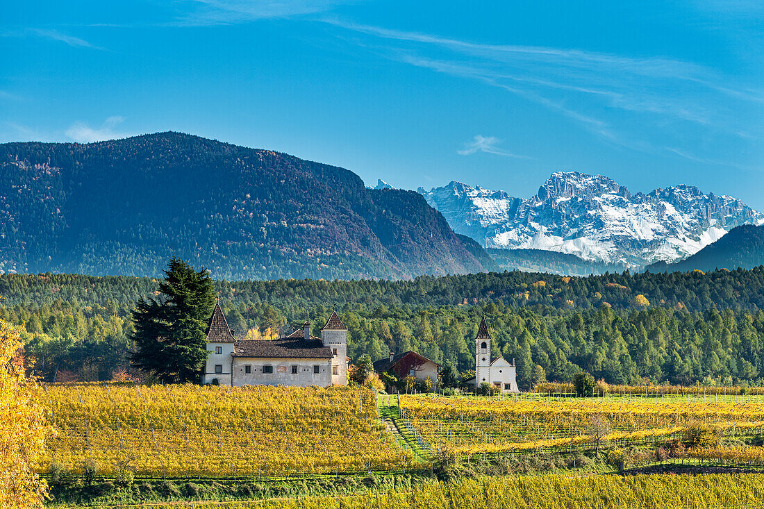 Eppan / Appiano, province of Bolzano, South Tyrol, Italy. The Kreithof winery with the Latemar mountains in the background