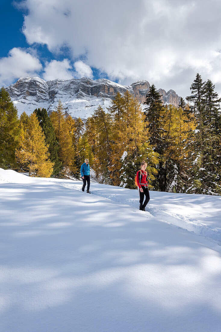 Alta Badia, Bolzano province, South Tyrol, Italy, Europe. Hikers on the Armentara meadows, above the mountains of the Zehner and Heiligkreuzkofel