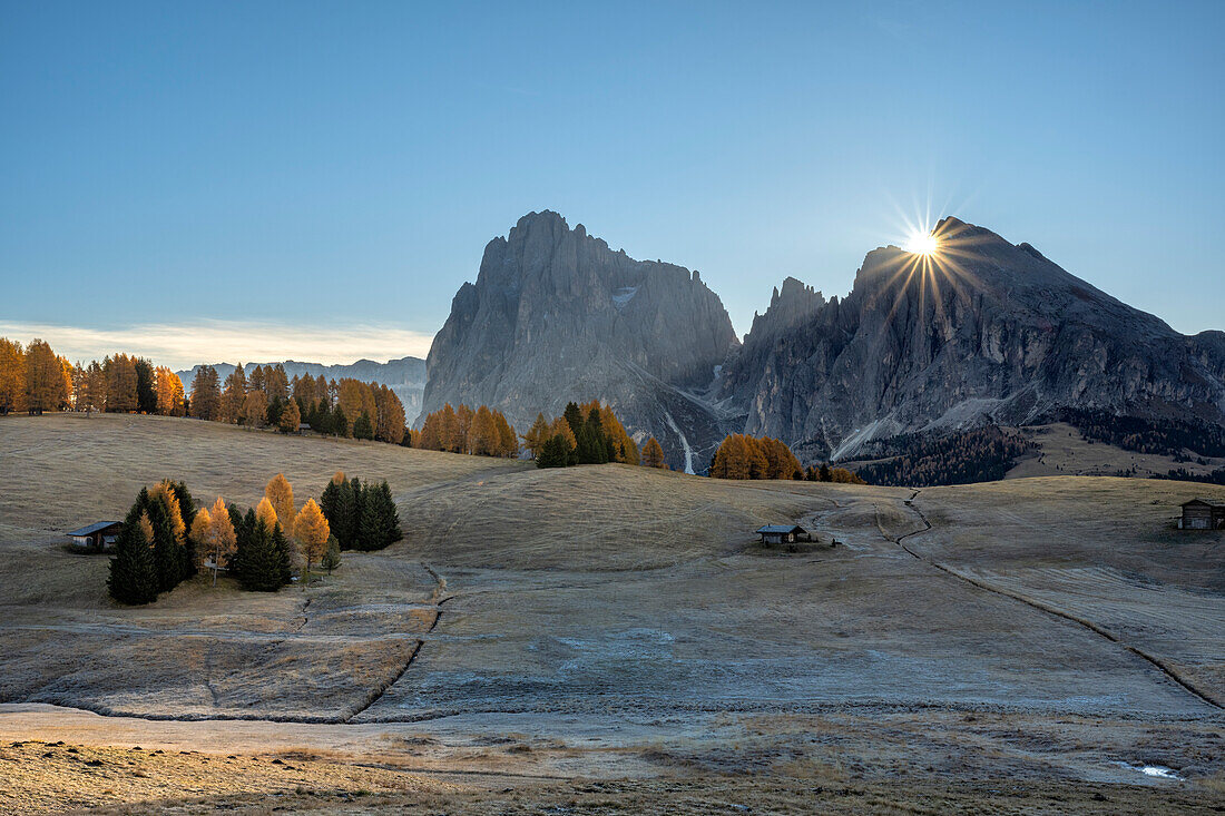 Alpe di Siusi/Seiser Alm, Dolomites, South Tyrol, Italy. Sunrise on the Alpe di Siusi/Seiser Alm with the Sassolungo and Sassopiatto