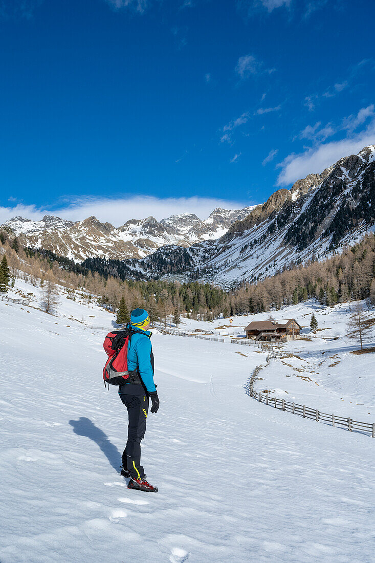 Percha / Perca, province of Bolzano, South Tyrol, Italy, Europe. The Haidacher alpine hut in the Oberwielenbach valley