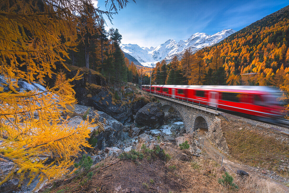 Durchfahrt des roten Bernina-Zugs in Morteratsch, Graubünden, Schweiz, Europa