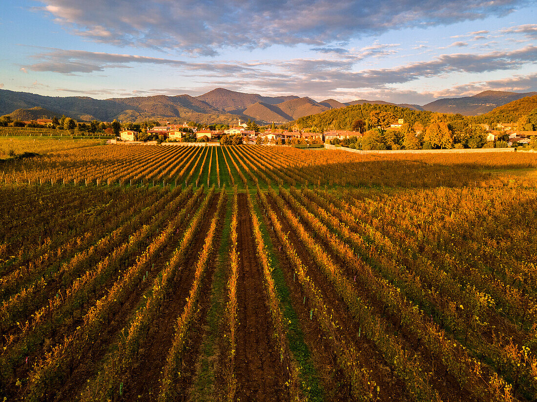 Luftaufnahme von Franciacorta im Herbst, Provinz Brescia, Region Lombardei, Italien.