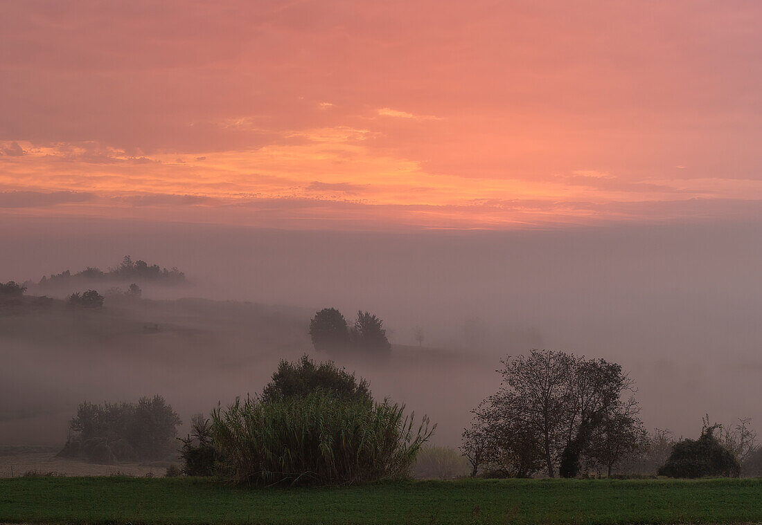 Morgengrauen in den Hügeln von Alexandria, Provinz Alessandria, Piemont, Italien, Europa.
