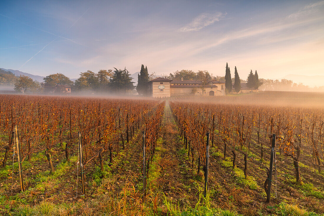 Herbstzeit in Franciacorta, Provinz Brescia, Region Lombardei, Italien, Europa.