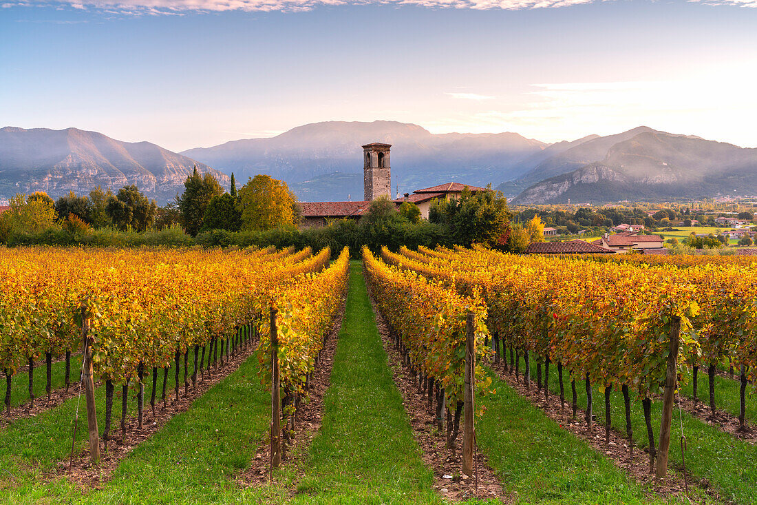 Autumn season in Franciacorta, Brescia province, Lombardy district, Italy, Europe.