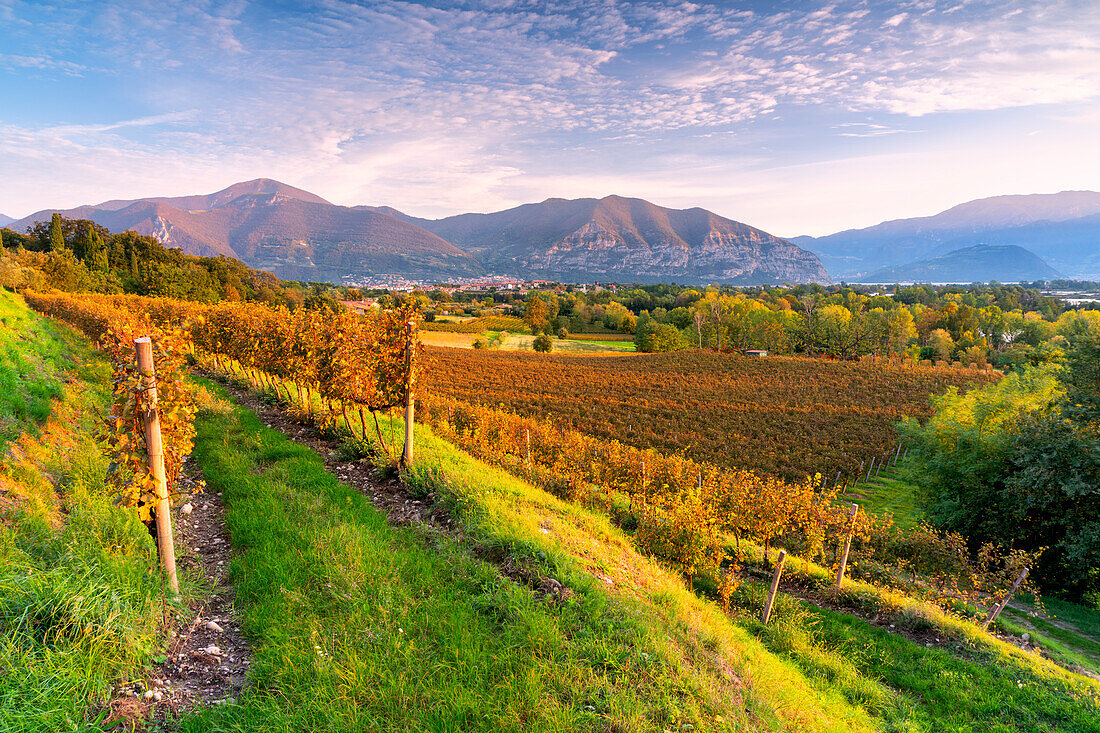 Herbstzeit in Franciacorta, Provinz Brescia, Region Lombardei, Italien, Europa.