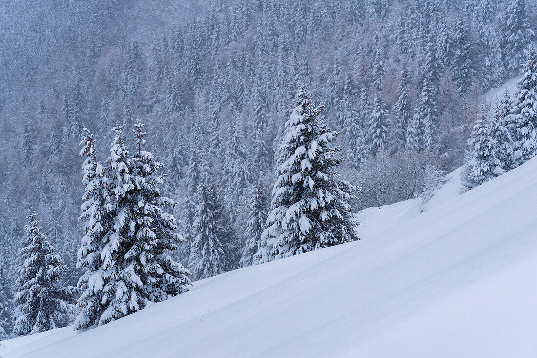 Winter in Brescia prealpi, Provinz Brescia, Region Lombardei, Italien, Europa.