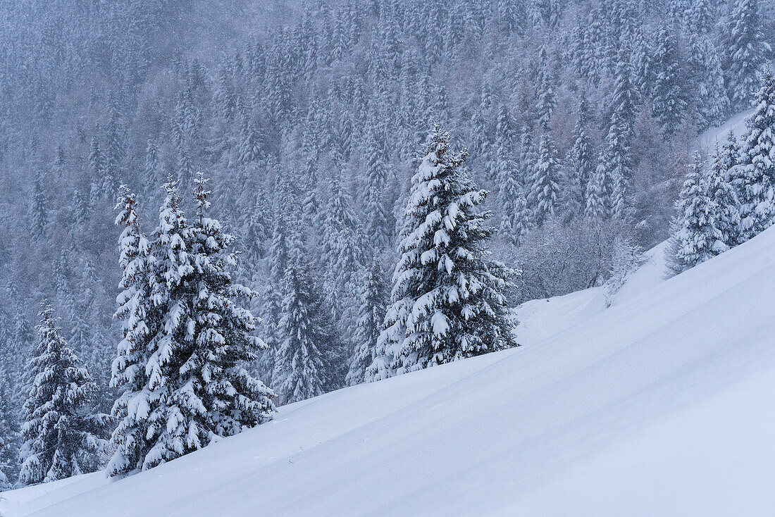 Winter season in Brescia prealpi, Brescia province, Lombardy district, Italy, Europe.