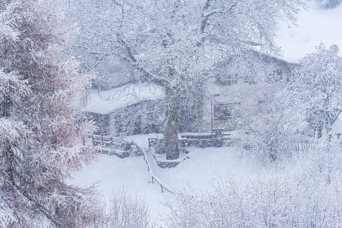 Mountain refuge under the snowfall in Brescia province, Lombardy district, Italy, Europe