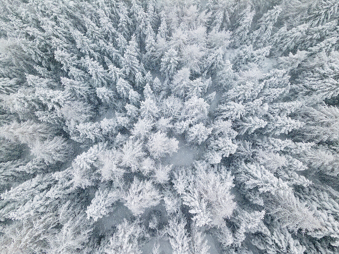 Wintersaison Luftaufnahme in Brescia prealpi, Provinz Brescia, Region Lombardei, Italien, Europa.