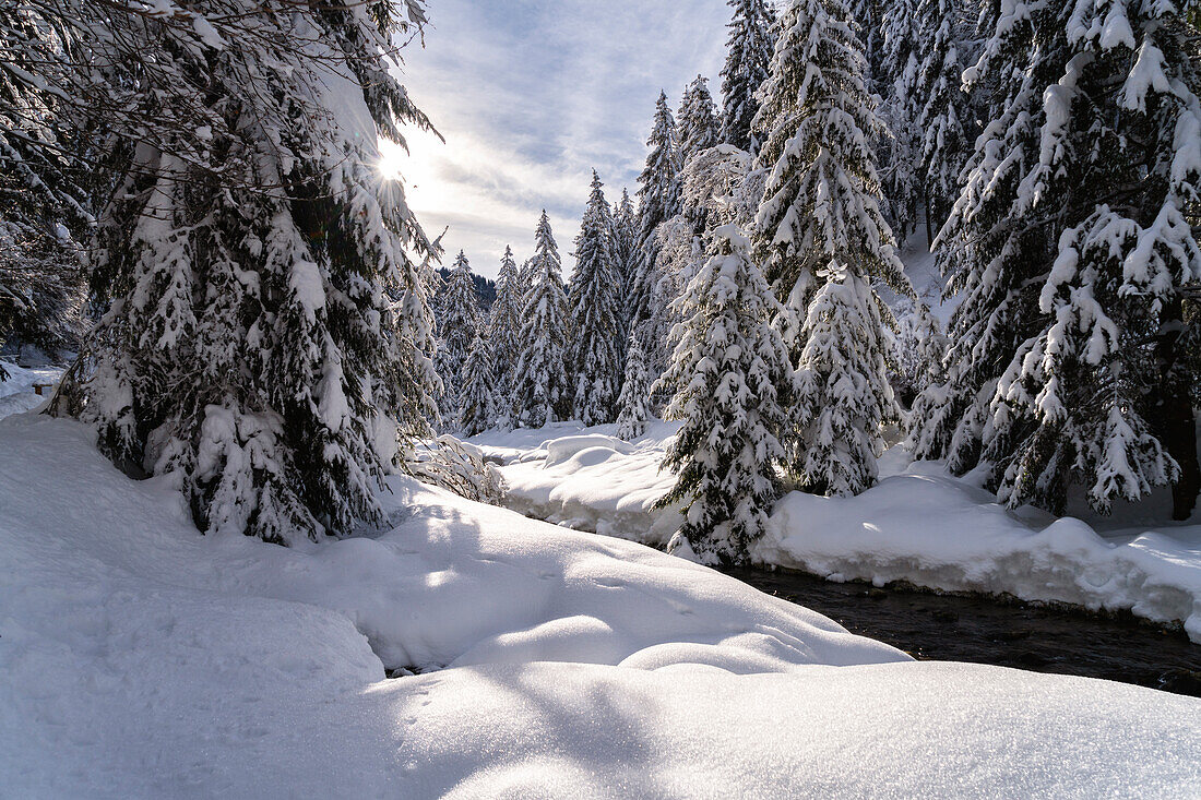 Wintersaison in Val Palot in Brescia prealpi, Provinz Brescia, Bezirk Lombardei, Italien, Europa.