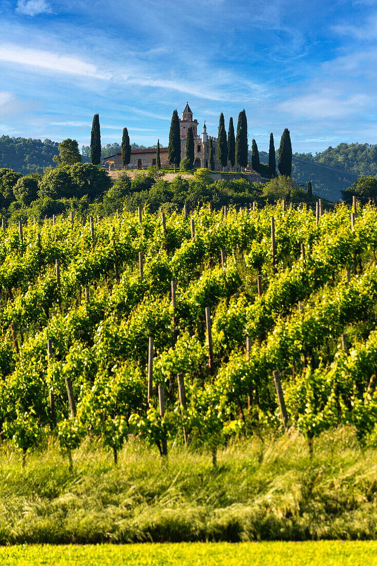 Frühling in Franciacorta, Provinz Brescia, Lombardei, Italien.