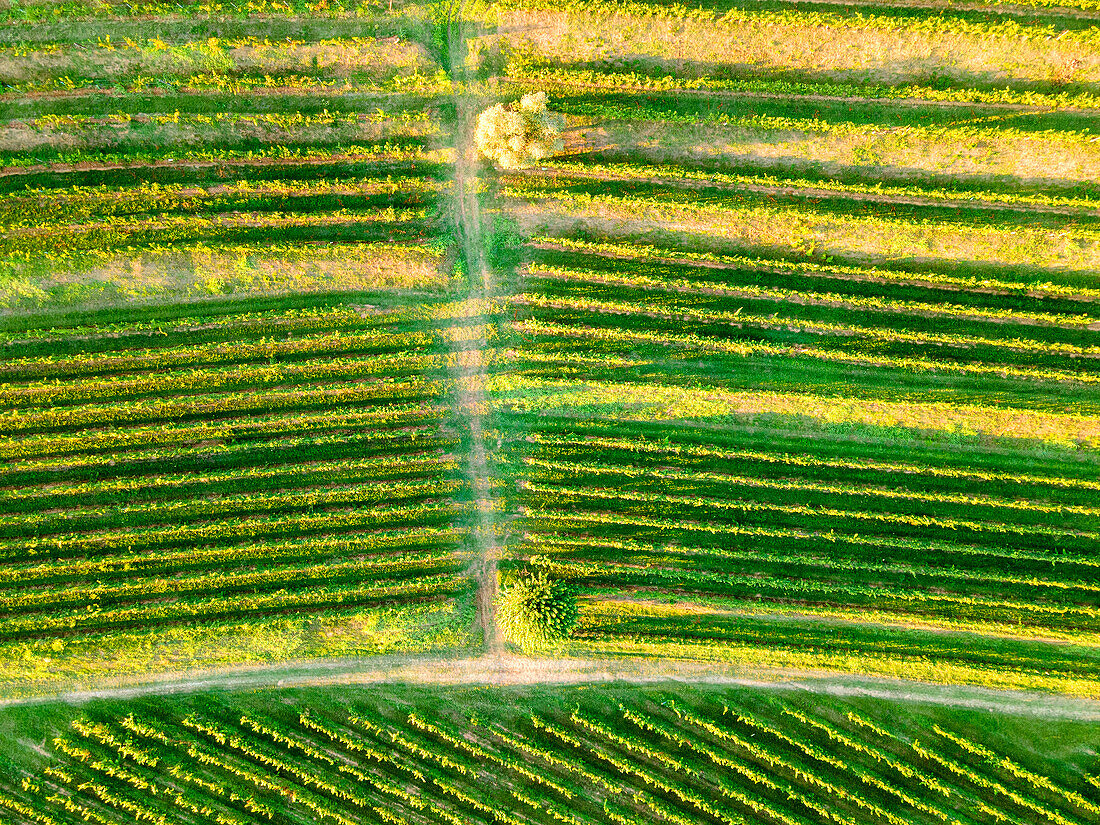 Aerial view from Franciacorta in Autumn season, Lombardy district, Italy, Europe.