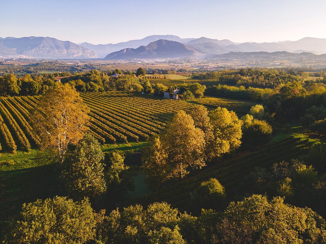 Luftaufnahme von Franciacorta in der Herbstzeit, Lombardei, Italien, Europa.