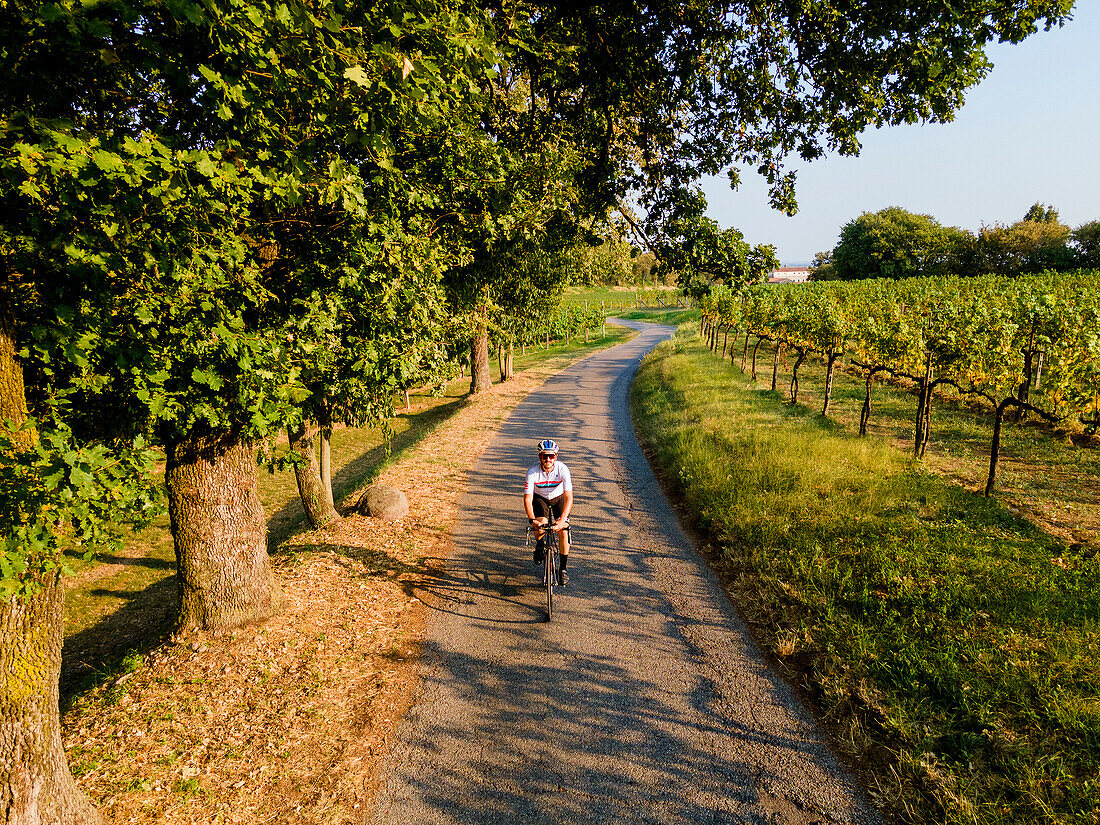 Luftaufnahme von Franciacorta in der Herbstzeit, Lombardei, Italien, Europa.