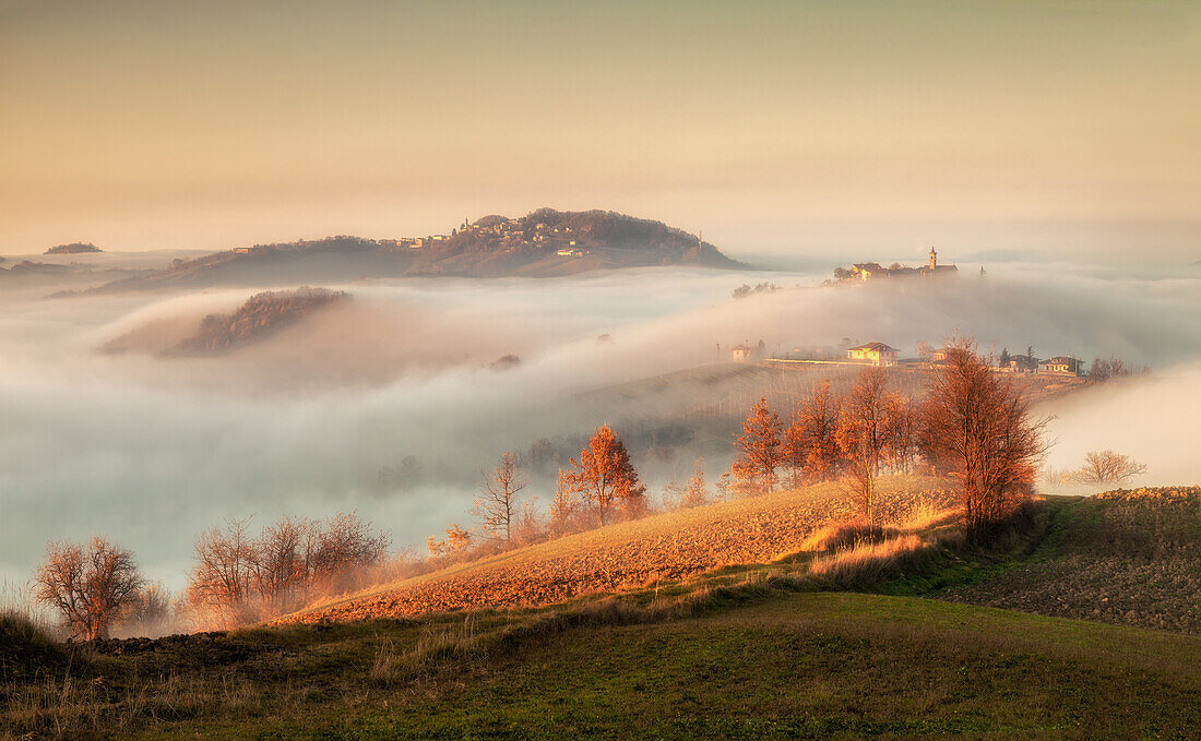 View of Alessandria hills with fog, Alessandria province, Piedmont, Italy, Europe.