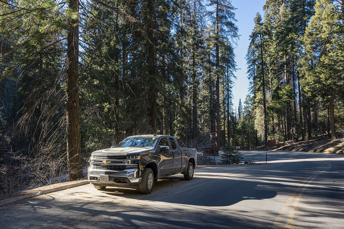Chevrolet Silverado auf dem Generals Highway; Nordamerika, USA, Kalifornien, Sequoia und Kings Canyon National Park