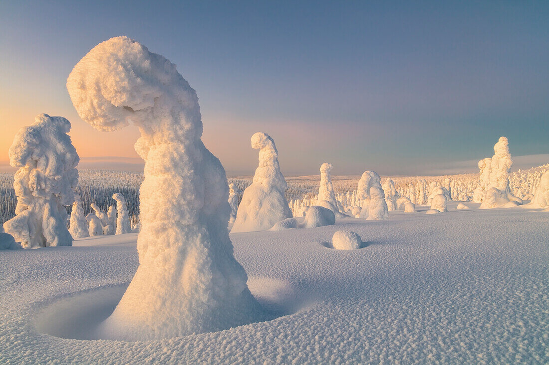 Frozen trees of Riisitunturi hill, Riisitunturi national park, posio, lapland, finland, europe.