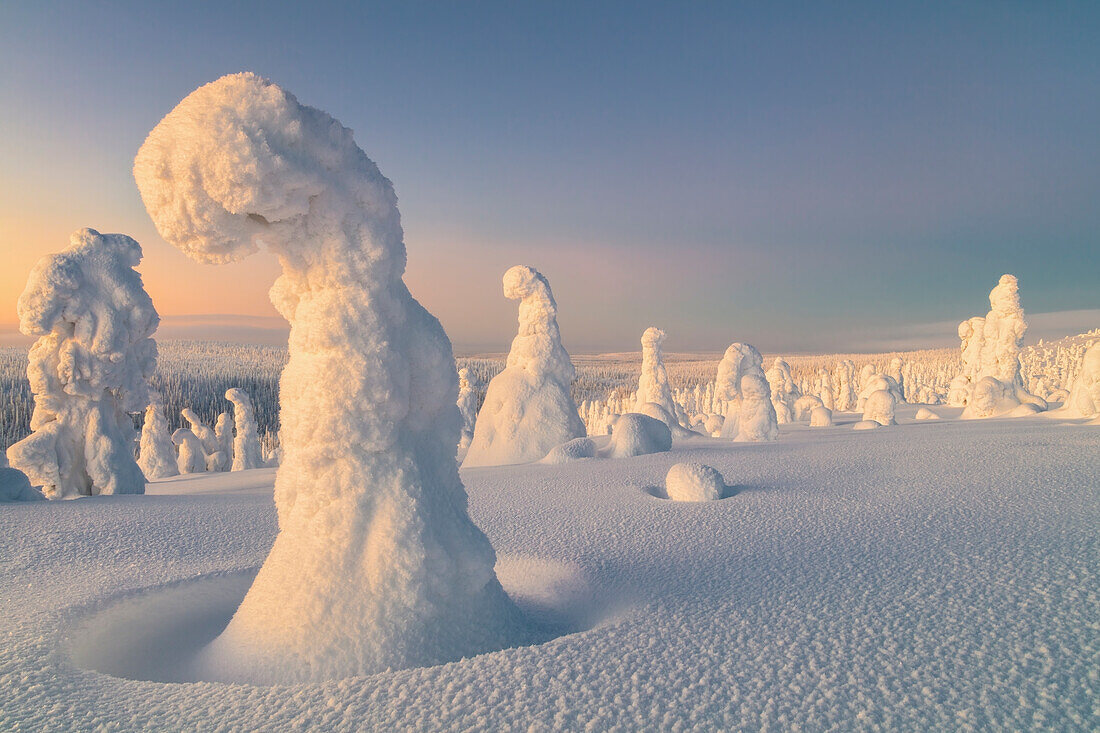 Gefrorene Bäume auf dem Riisitunturi-Hügel, Riisitunturi-Nationalpark, Posio, Lappland, Finnland, Europa.