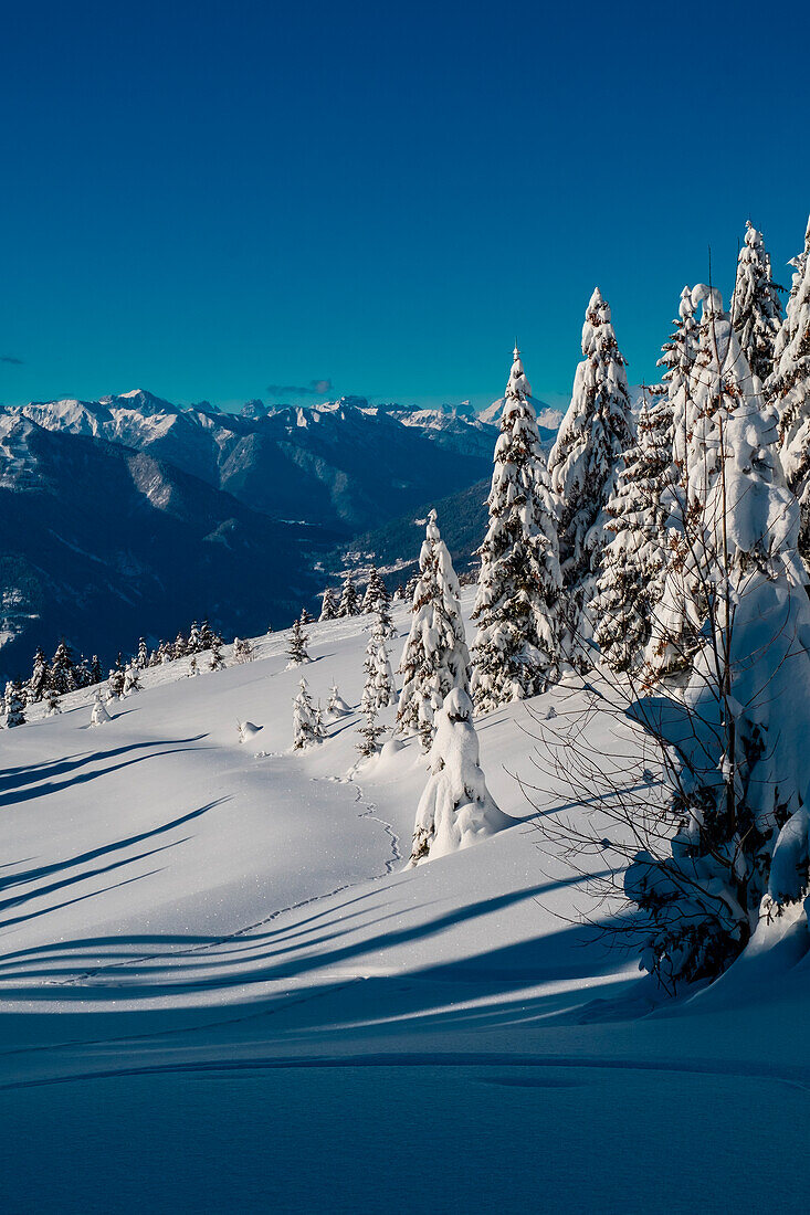 Karnische Alpen, mit den Dolomiten im Hintergrund, vom Berg Neddis aus nach einem großen Schneefall. Provinz Udine, Region Friaul-Julisch-Venetien, Italien