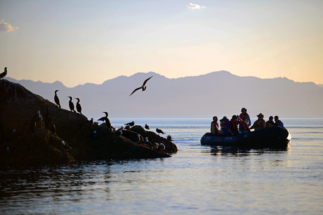 Exploring the Sea of Cortez on a zodiac, Baja California, Mexico