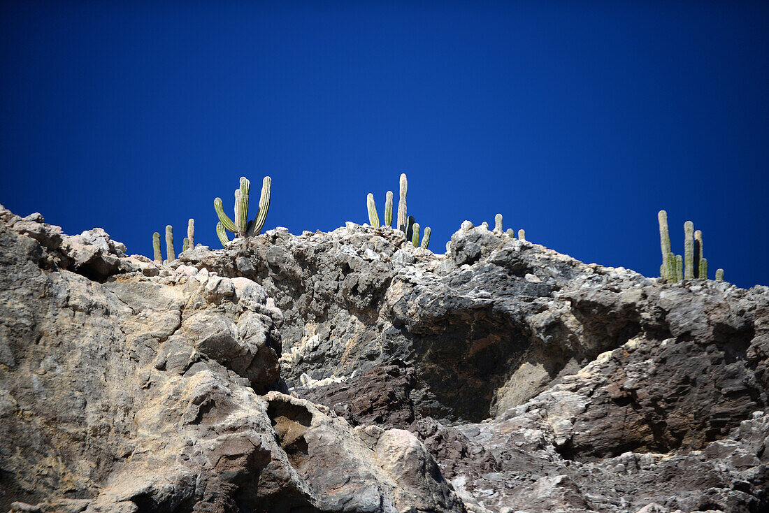 Island rocky coast, Sea of Cortez, Baja California, Mexico