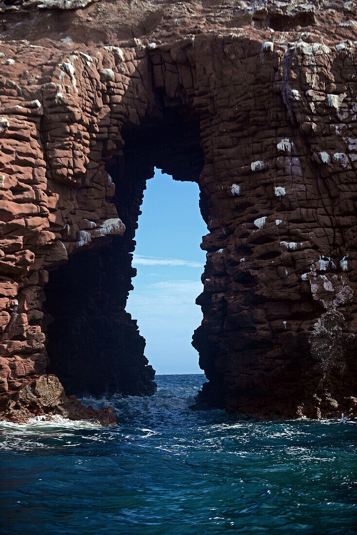 Guano covered rocky island, Sea of Cortez, Baja California, Mexico