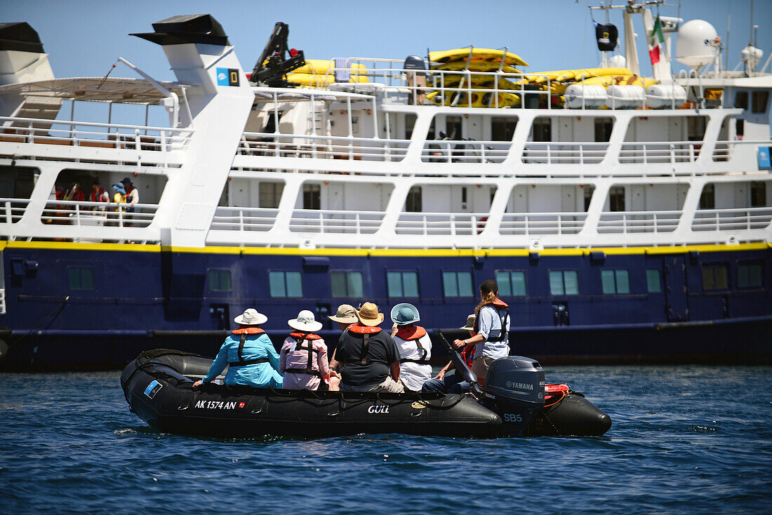 Erkundung der Sea of Cortez mit dem Zodiac, Baja California, Mexiko