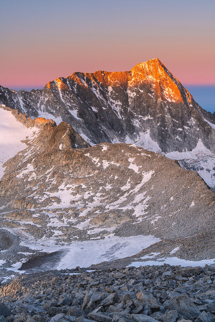 Adamello-Gipfel in der Morgendämmerung, Blick vom Venerocolo-Gipfel in Vallecamonica, Provinz Brescia in der Lombardei, Italien.