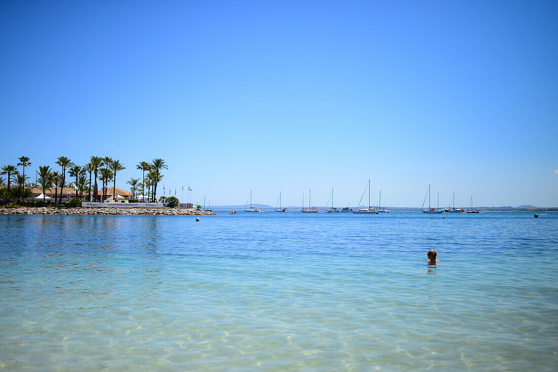 Alcudia beach in Mallorca, Spain – License image – 13829891 lookphotos