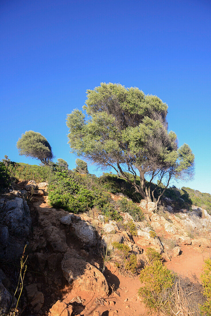 Cala Varques auf Mallorca, Spanien