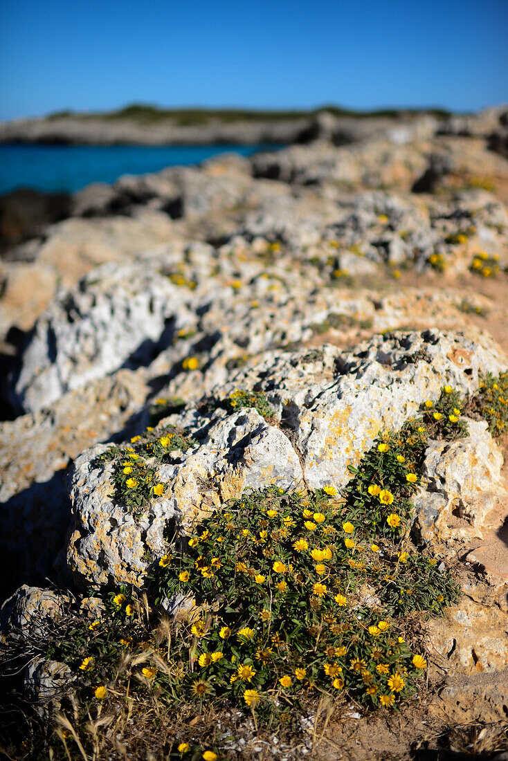 Cala Varques in Mallorca, Spain