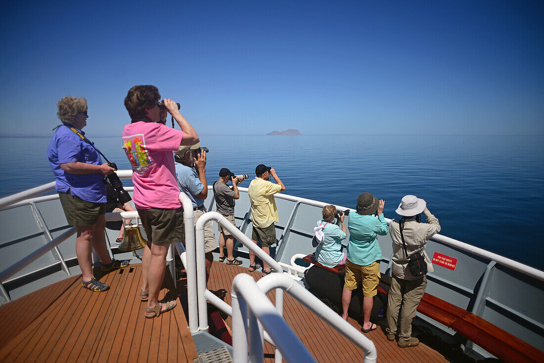 Whale watching from National Geographic Sea Bird, Sea of Cortez, Baja California, Mexico